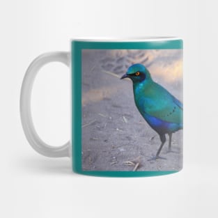 African Blue Starling Bird in the Shade Mug